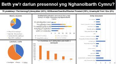 1 Ffigyrau o'r arolwg: Cyfleoedd allweddol a heriau sy'n wynebu busnesau i leihau eu hallyriadau nwyon tŷ gwydr